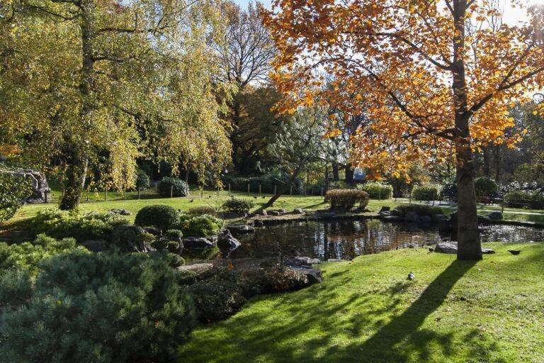 1-Bed Apartment, Close To Kensington Olympia With Free Wi-Fi & Netflix London Luaran gambar